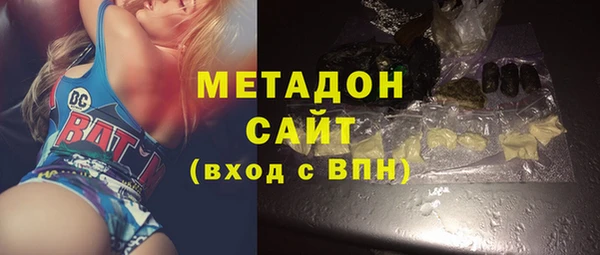 хмурый Аркадак