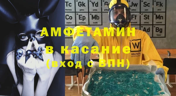 хмурый Аркадак