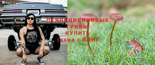 спайс Абаза