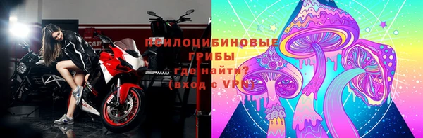 спайс Абаза
